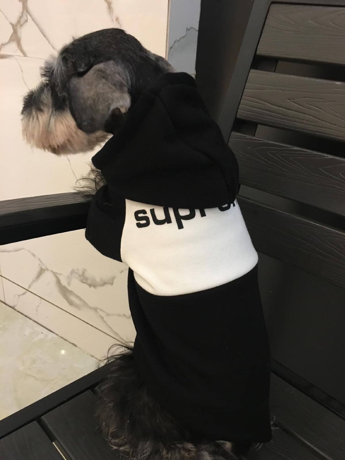 New fashion brand pet clothes in autumn and winter puppy dog clothes pet clothes puppy clothes