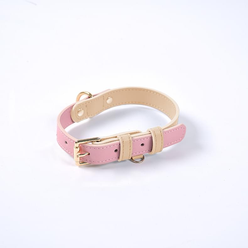 Dog Collar