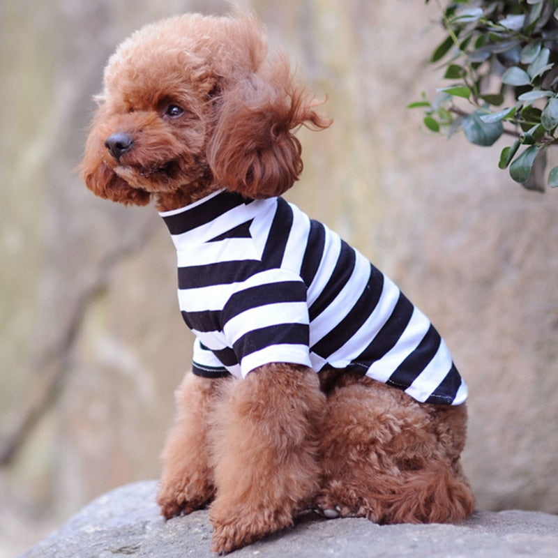 Summer Pet Dog Clothes For Small Dogs Cotton Dog Shirt Pet Cat Vest Clothing Pet T Shirt Chihuahua Outfit Costumes