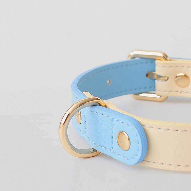 Dog Collar