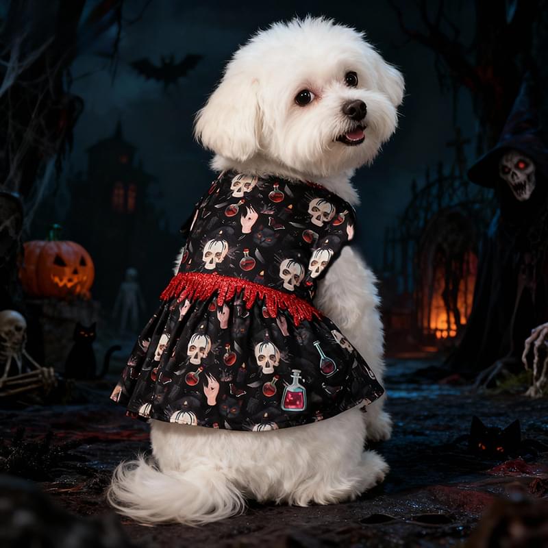 Halloween Pet Dog Costume Skull Bat Blood Drop Dress