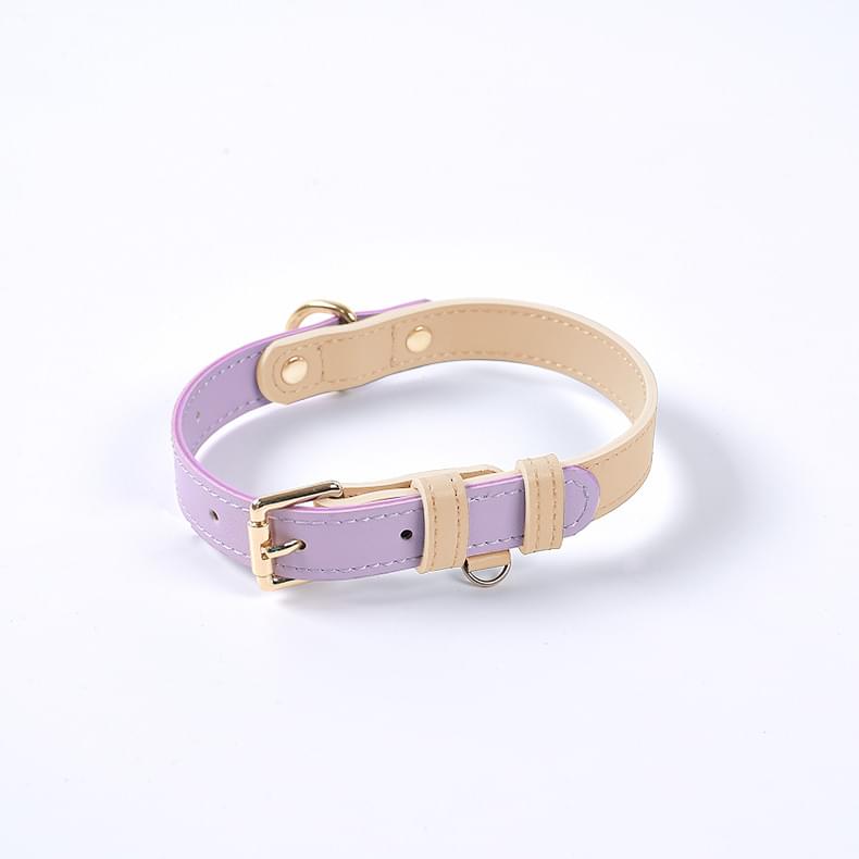 Dog Collar