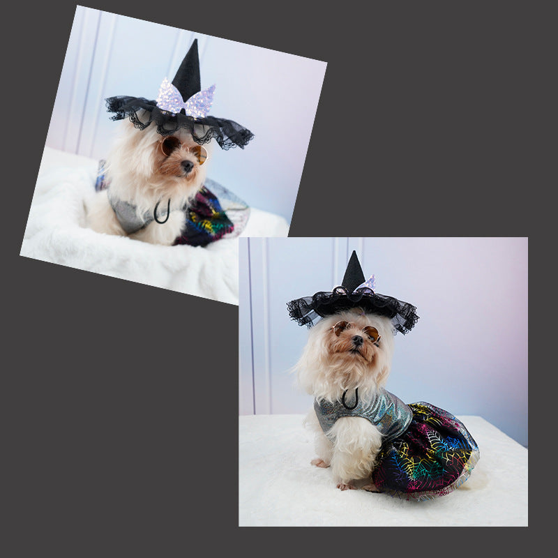 Pet Dog Cat Halloween Hat Creative Pumpkin Devil Spider Costume for Pets