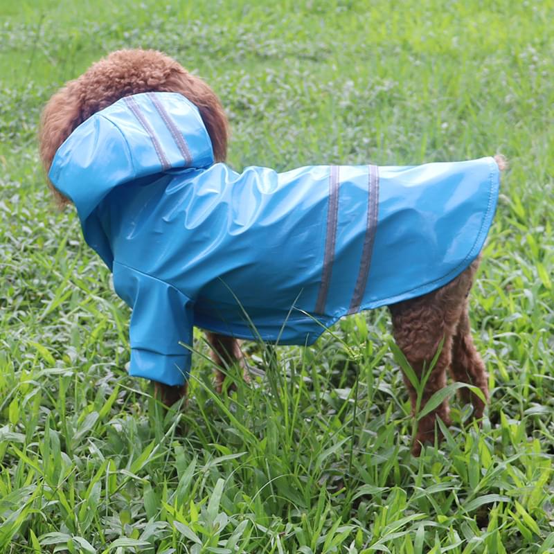 Pet Raincoat with Reflective Strips, Thickened Waterproof Raincoat for Small and Medium Dogs