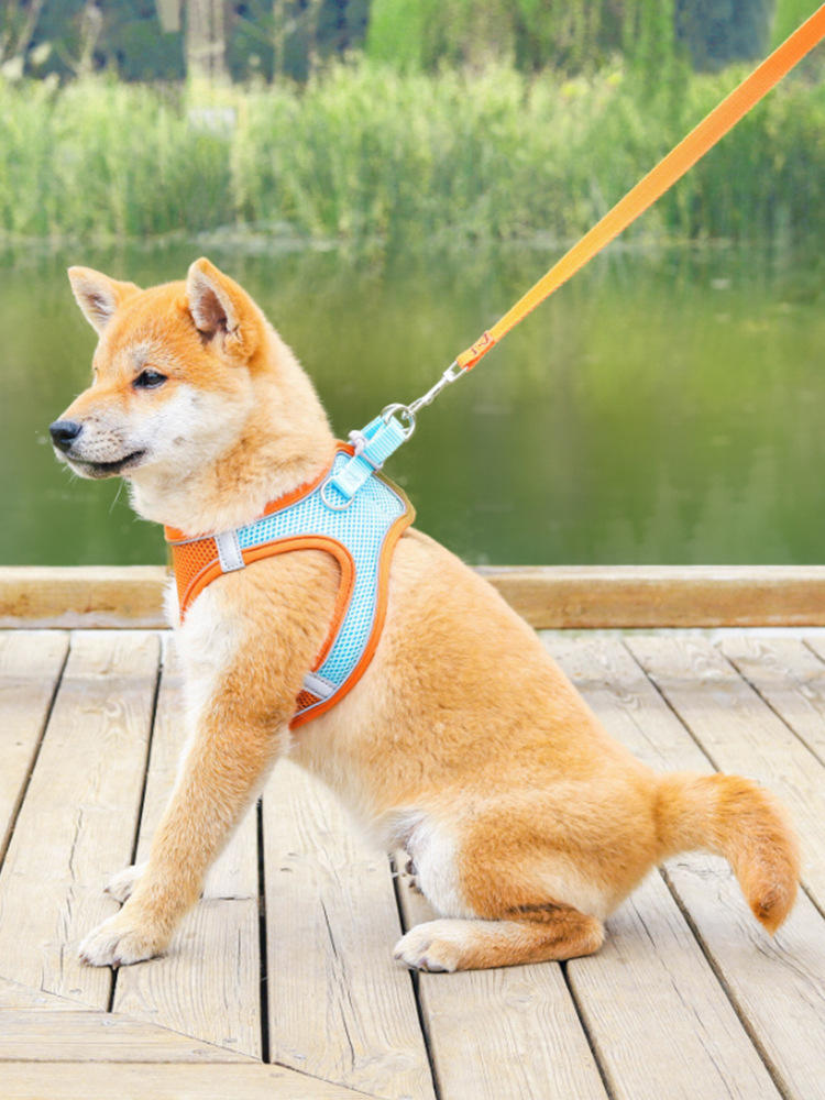 Pet Supplies Vest Pet Leash Cat Dog Chest Strap Breathable Reflective Dog Walking Chain