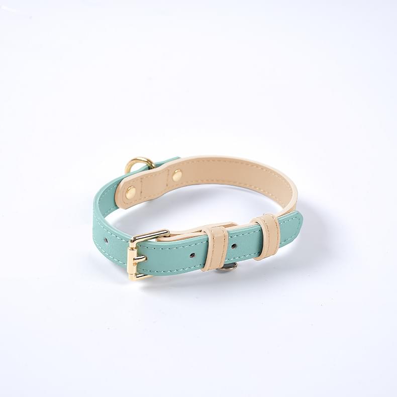 Dog Collar