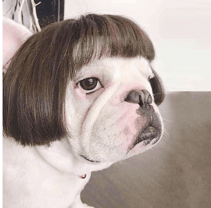 Toshomono Wig Cosplay Tool for Costumes