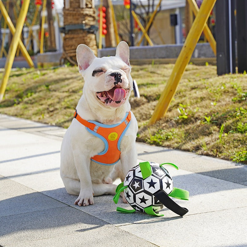 Pet Football Dog Football Toy Supplies Outdoor Multi functional Interactive Dog Ball with Rope