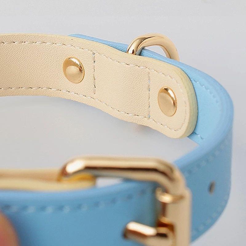Dog Collar