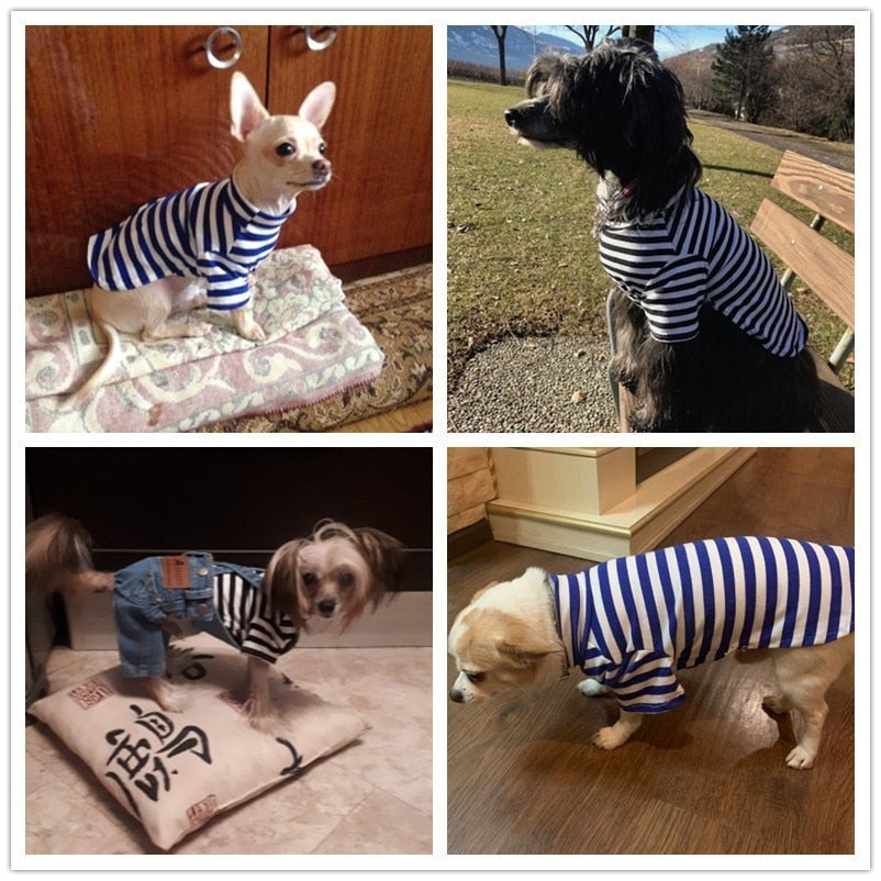 Summer Pet Dog Clothes For Small Dogs Cotton Dog Shirt Pet Cat Vest Clothing Pet T Shirt Chihuahua Outfit Costumes