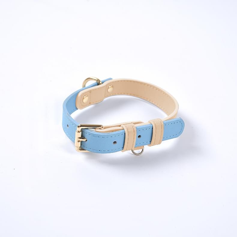 Dog Collar