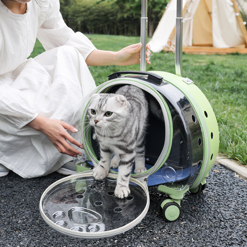 Pet Box Transparent Large Capacity Portable Pet Backpack Space Cabin Dog Luggage