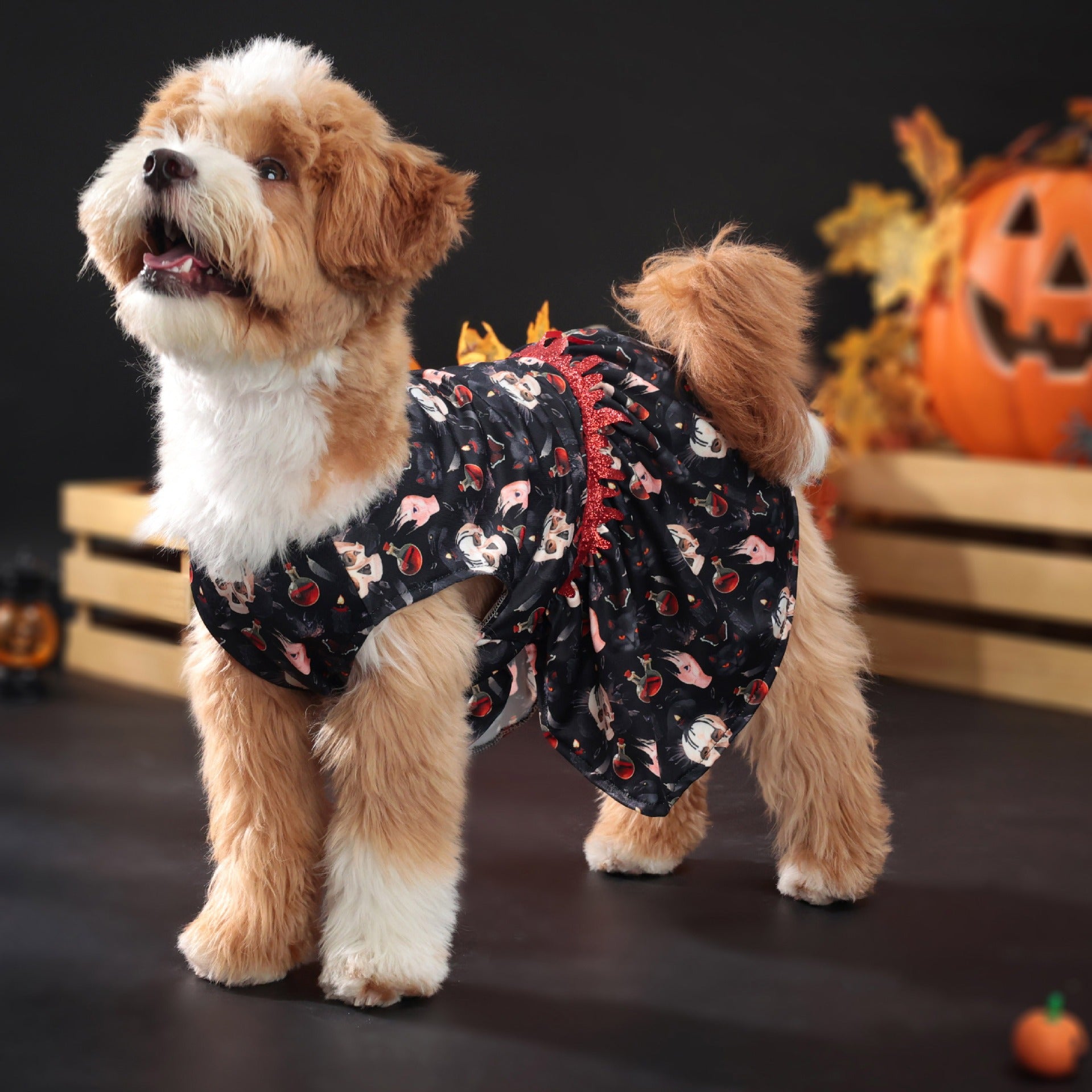 Halloween Pet Dog Costume Skull Bat Blood Drop Dress