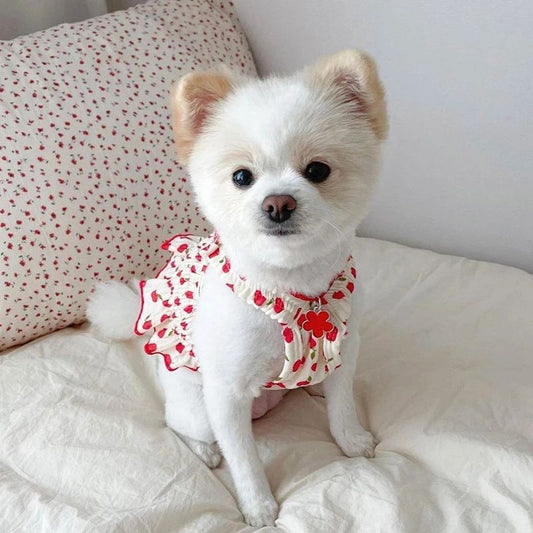 Teddy Skirt Puppy Summer Clothes Pet Small Puppy Pomeranian Yorksia Cat Spring Summer Thin Style