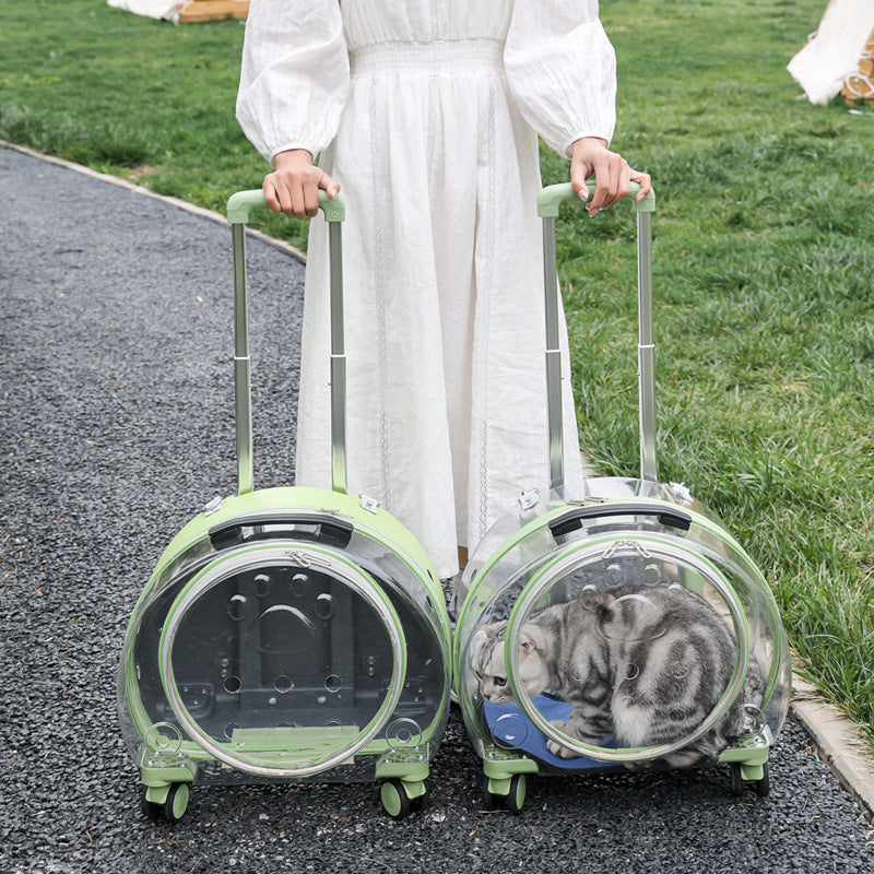 Pet Box Transparent Large Capacity Portable Pet Backpack Space Cabin Dog Luggage