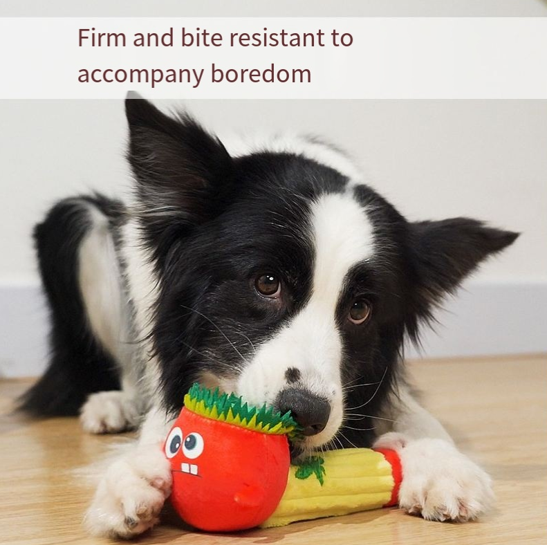 Pet dog puzzle toy bite resistant pipe doll small and medium-sized dog plush sound toy