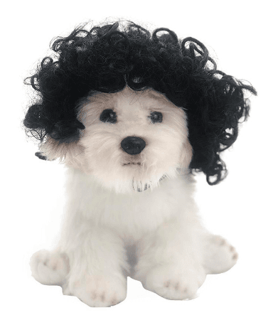 Toshomono Wig Cosplay Tool for Costumes